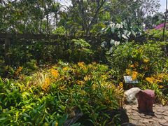 -中国科学院西双版纳热带植物园