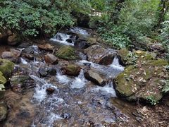 -莫里热带雨林景区