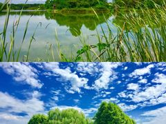 -苏州太湖国家湿地公园