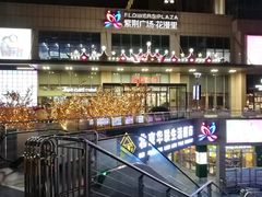 -紫荆广场·花漫里