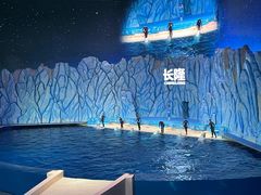 -珠海长隆海洋王国