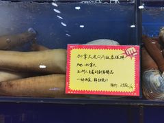 -蚝专家(北滘店)