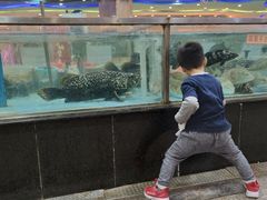 -渔民新村(番禺总店)