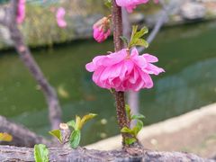 -三里河公园