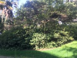 -杰爱月子护理中心