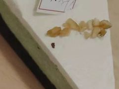 -禾康家蛋糕店
