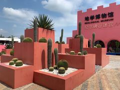 -漳州滨海火山岛自然生态风景区