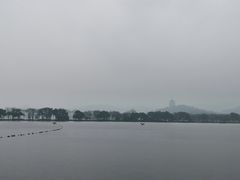 -渭滨公园