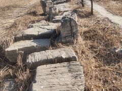 -绿堤公园