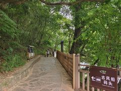 -普者黑风景区-青龙山