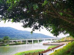 -风云岭森林公园