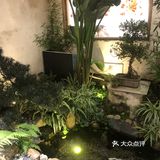 椰子味十足，真的不错 吃到后面汤底有些油了