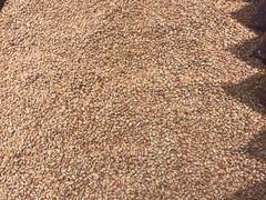 -广百家超市(大东海店)