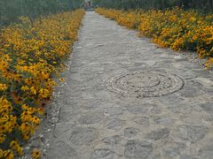 -森林公园(尖草坪区)