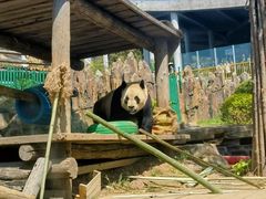 -大连森林动物园