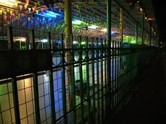 -金砂公园