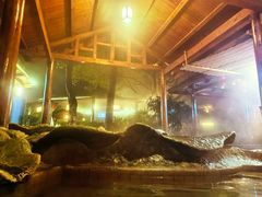 -明月山天沐温泉度假村