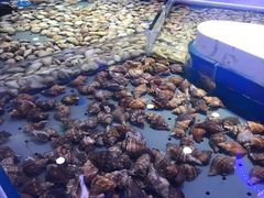 -澜悦港海鲜体验主题餐厅