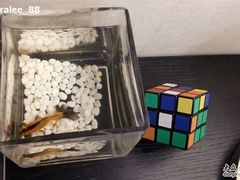 名字叫lou的小鱼-杭州西湖桔子水晶酒店