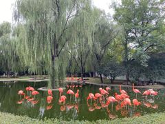 -石家庄市动物园