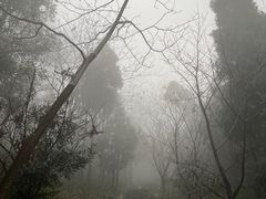 -北仑森林植物园