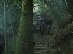 -莫干山风景区