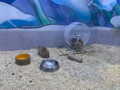 -海合安青岛极地海洋公园