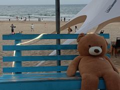 -清水湾旅游度假区