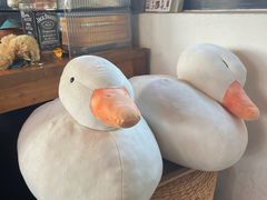 -三忘湖 SWANSEEN(柳荫公园店)