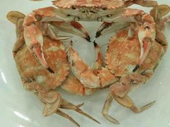 -四海鲜渔家菜(黄金海岸店)