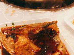 -冯鱼头火锅(青蓝山美食一条街店)