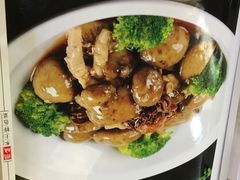 -五谷芳乳鸽王（大梅沙总店C区）(网红打卡店)