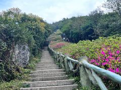 -梧桐山风景名胜区