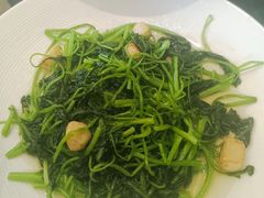 -南京悦客假日酒店