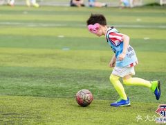 -小赛虎少儿足球培训(南翔校区)