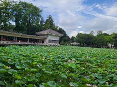 -荔湾湖公园