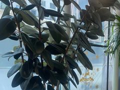 -惠友大虾(太原北街店)