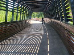 -昆山城市生态森林公园