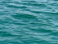 -仙海旅游度假区