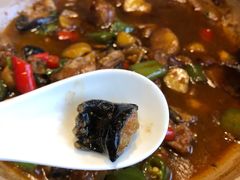 -印象鲵宴·张家界地标美食名片(溪布街店)