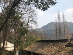 -嘉龙茶庄