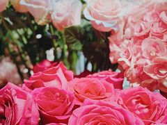 -BEAST野兽派(上海浦东嘉里城店)