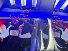 -山河屯铁锅炖鲜鹅·东北菜(开发区一店)