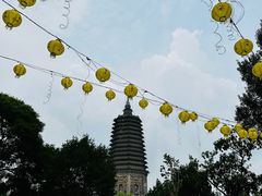-古塔公园