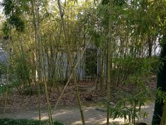 -泰州凤城河风景区-泰山公园