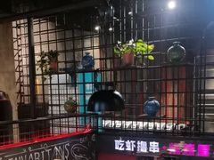 -0048鲜活香辣虾·火锅(铜陵路店)