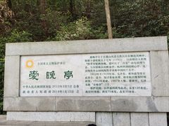 -柠季·手打柠檬茶(岳麓山登高路店)