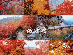-周口店坡峰岭风景区
