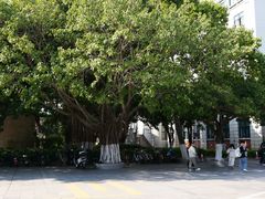 -厦门大学(思明校区)
