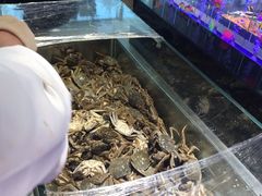 -欢乐牧场海鲜烤肉自助(牡丹园店)